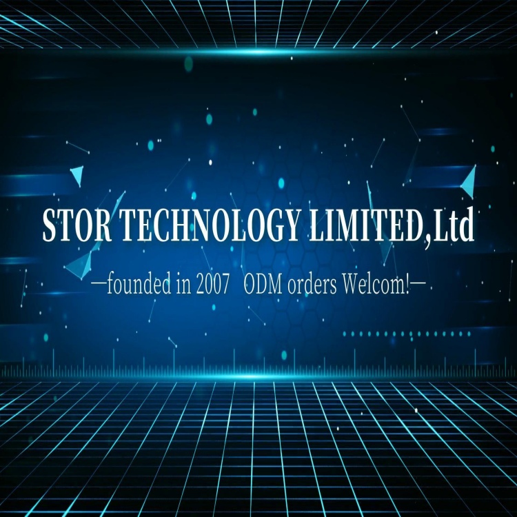 Thẻ đột kích LSI Thẻ HBA STOR TECHNOLOGY LIMITED,Ltd cho máy chủ